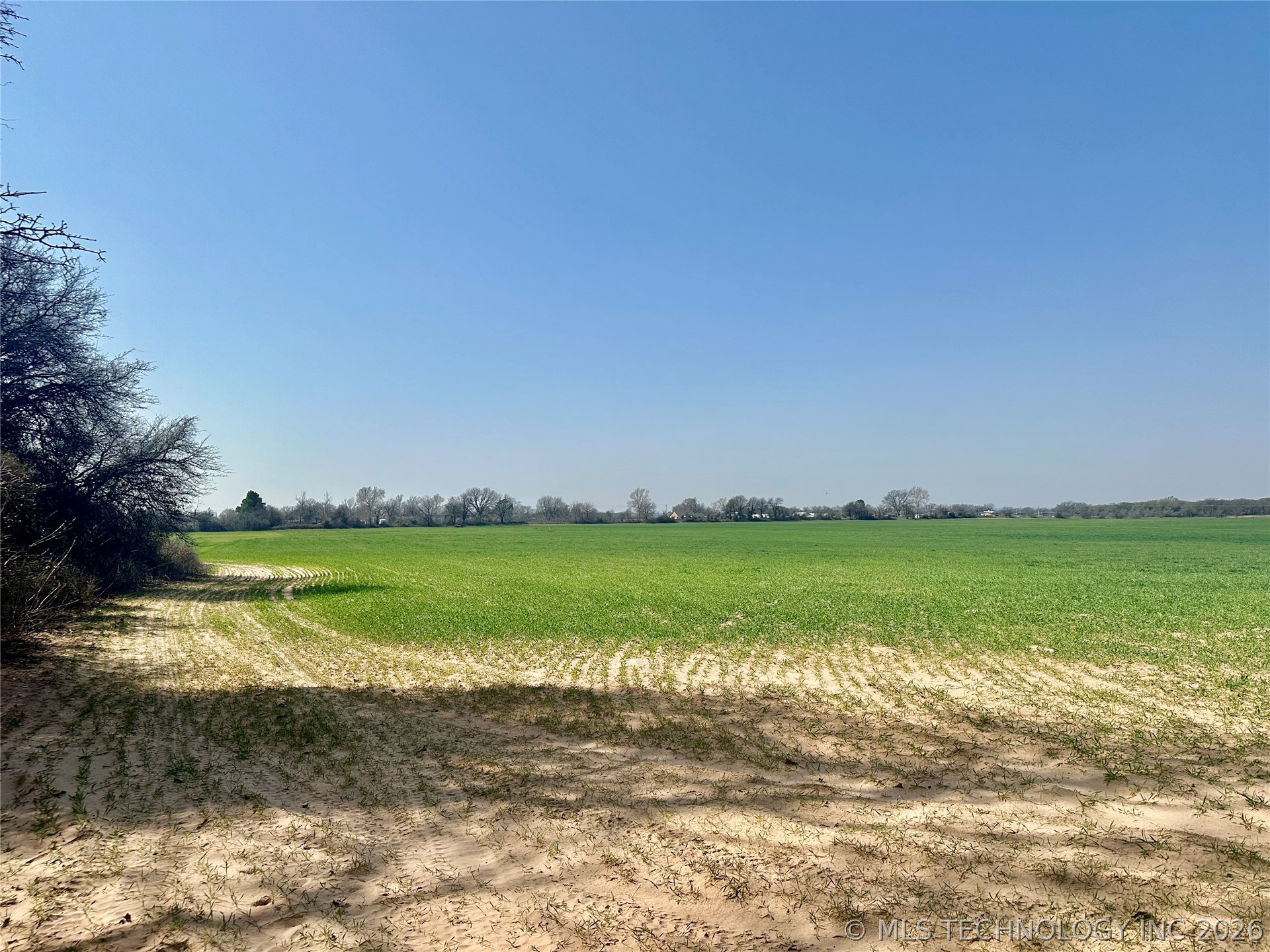 Bellview Street Thackerville OK 73459
