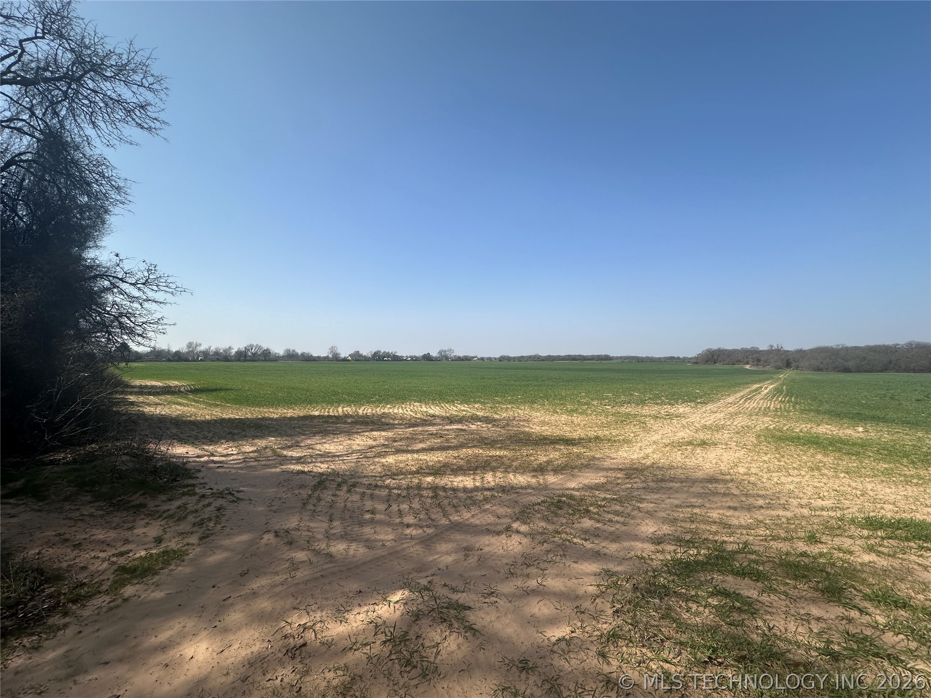 Bellview Street Thackerville OK 73459