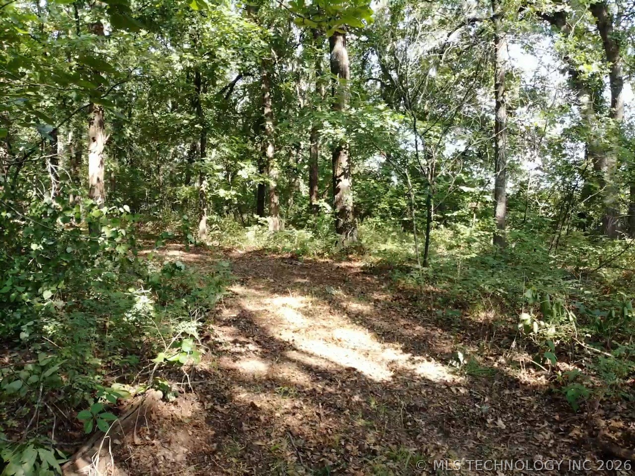 Texoma Hills Road Kingston OK 73439