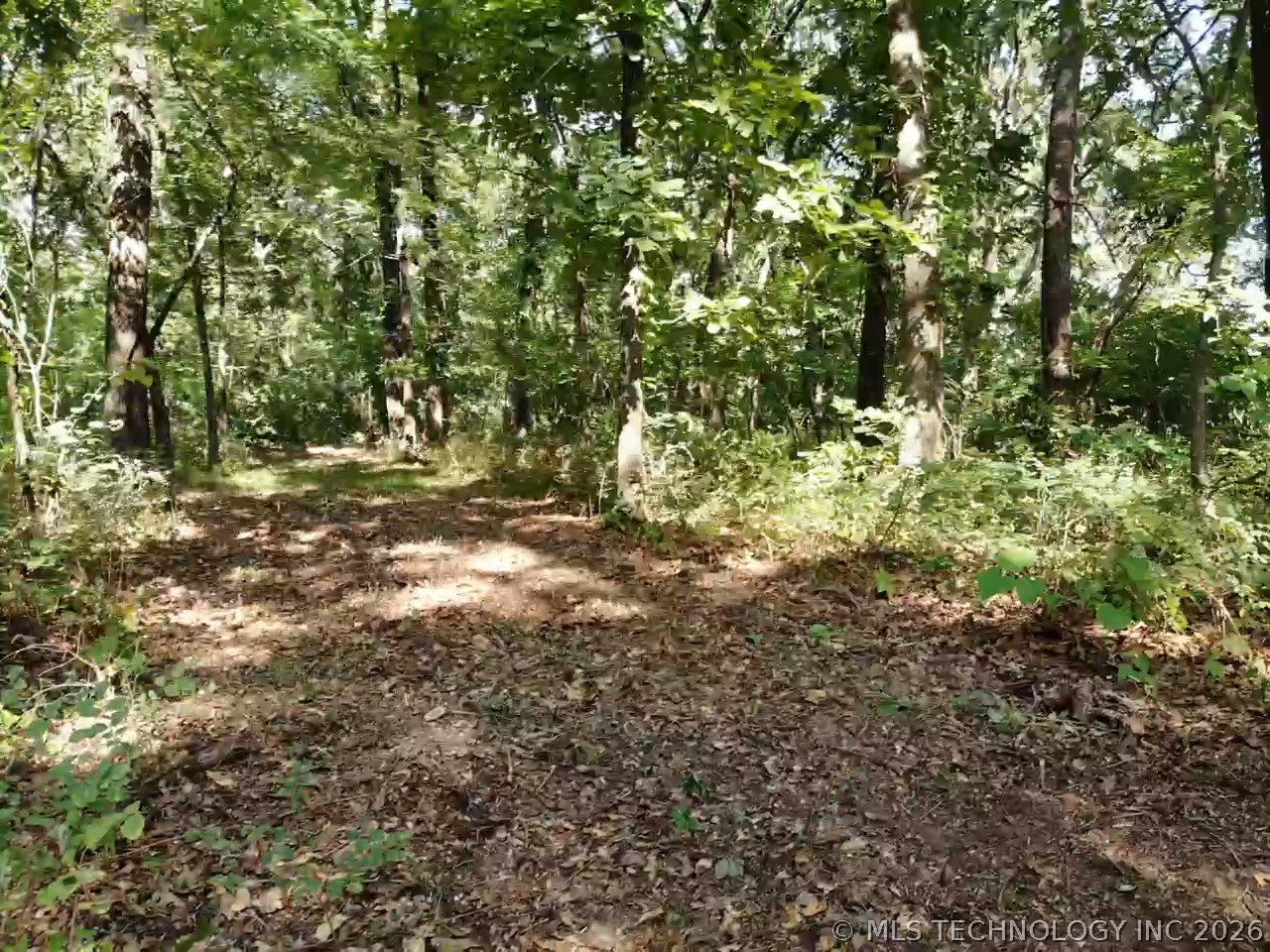 Texoma Hills Road Kingston OK 73439
