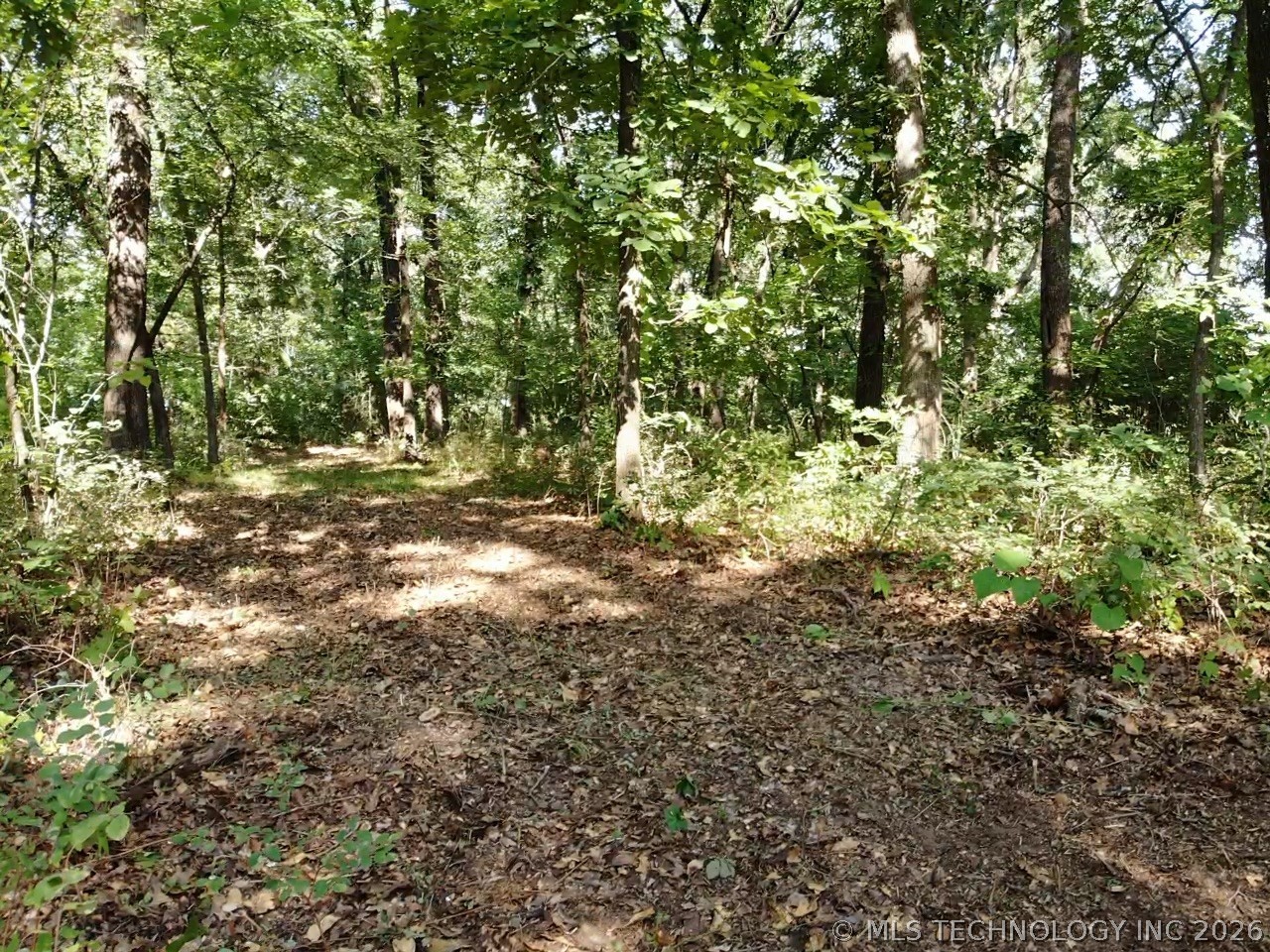 Texoma Hills Road Kingston OK 73439