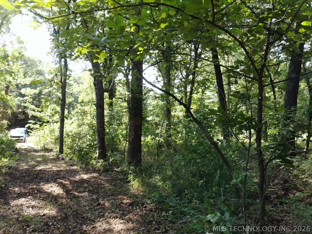 Texoma Hills Road Kingston OK 73439