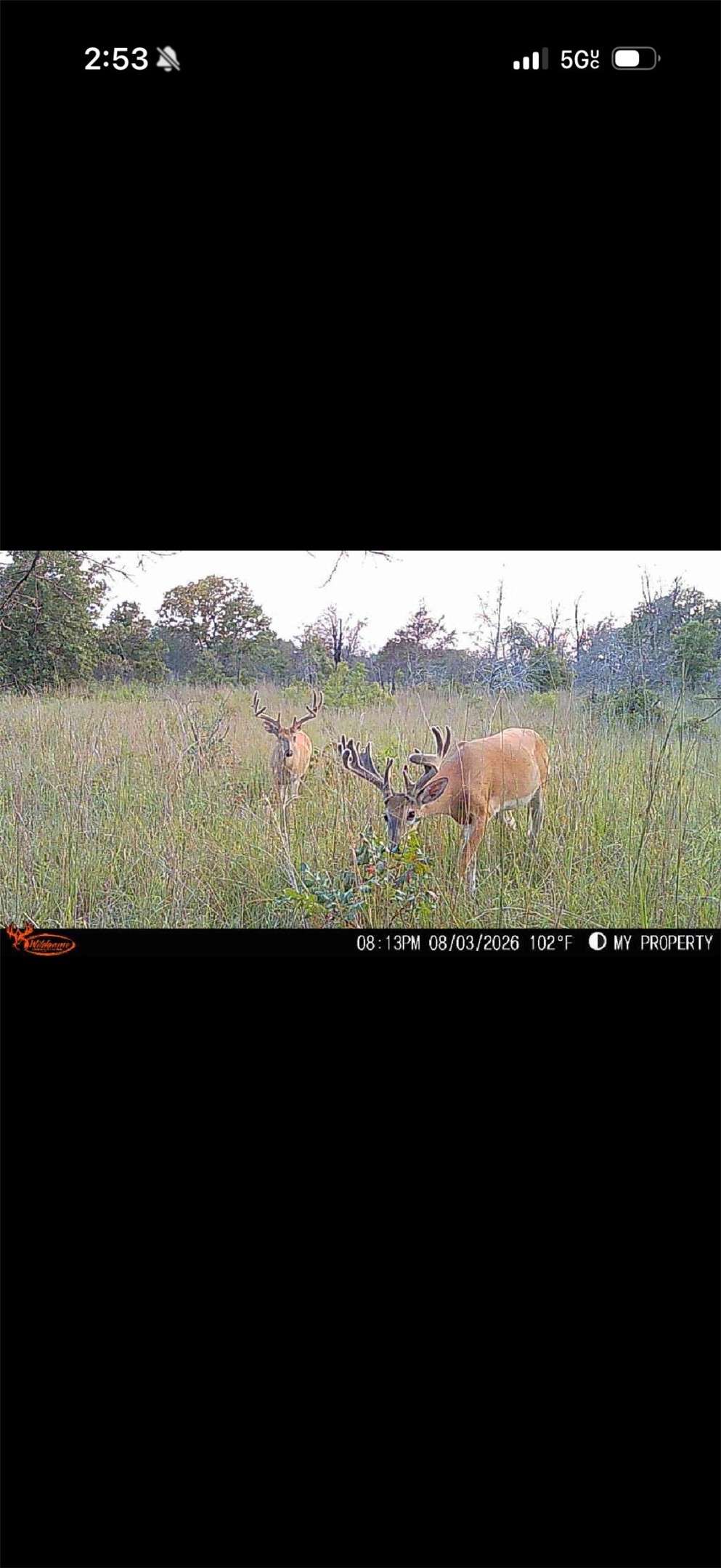 S 36700 Road Terlton OK 74081