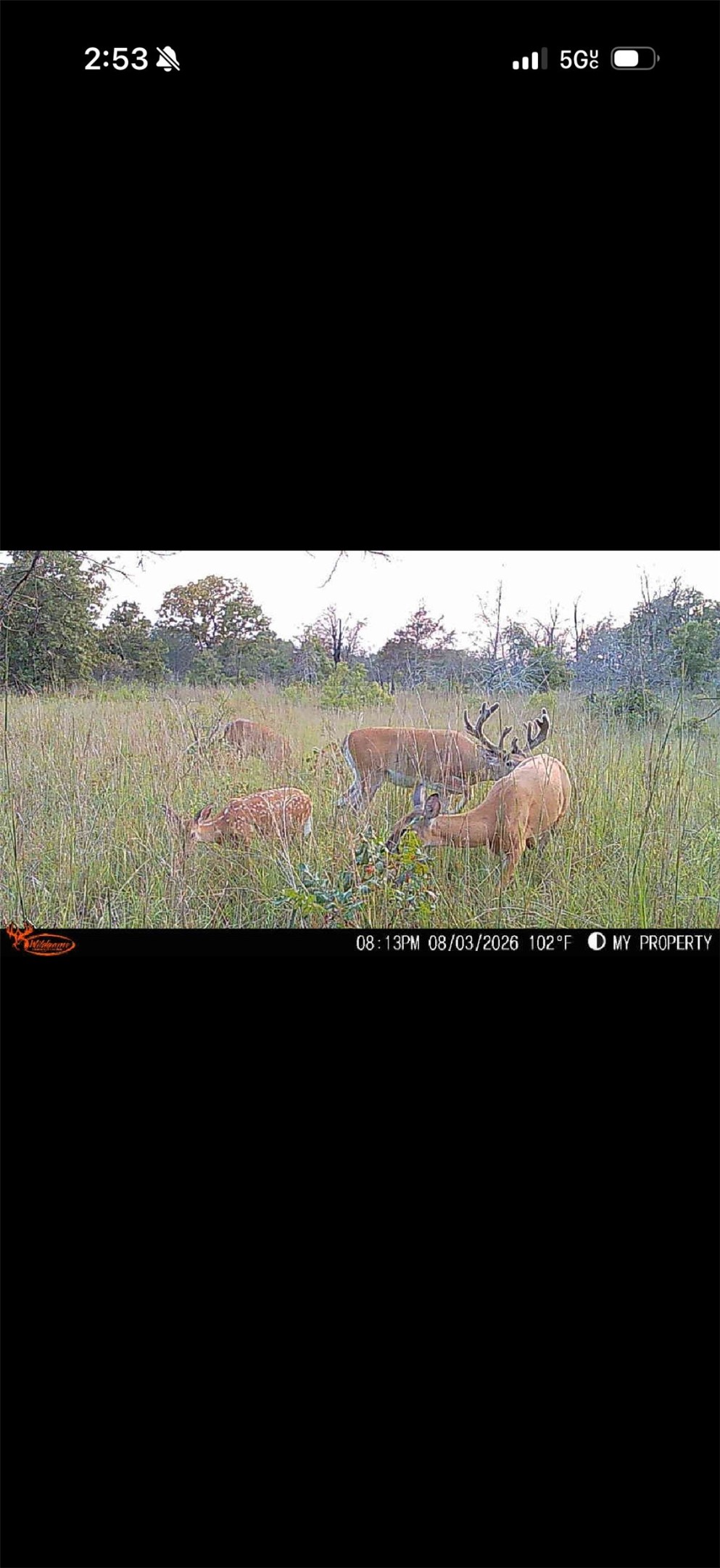 S 36700 Road Terlton OK 74081