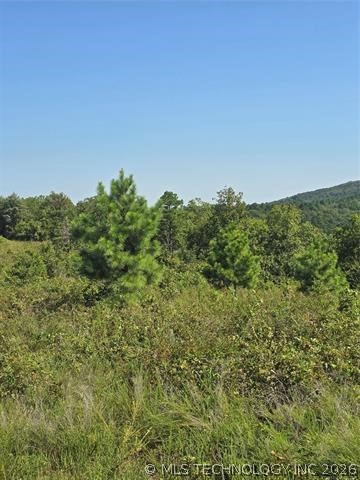 Rural Route Heavener OK 74947