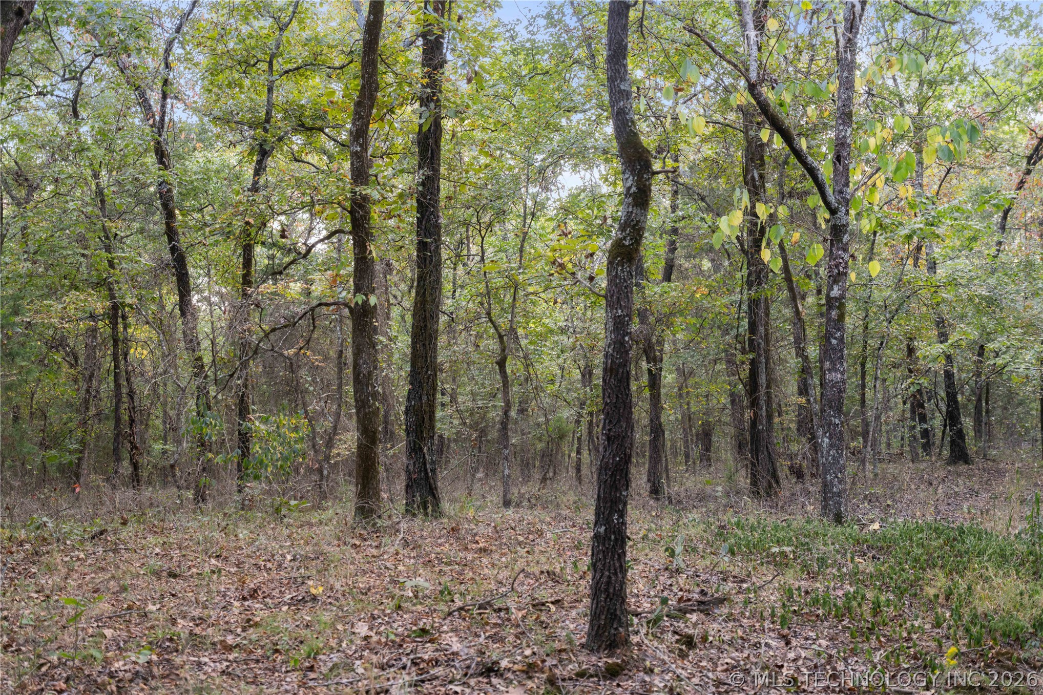 00168 N 4400 Road Webbers Falls OK 74470