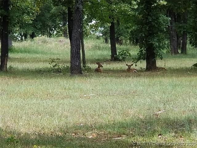 290 Edge Water Road Eufaula OK 74432