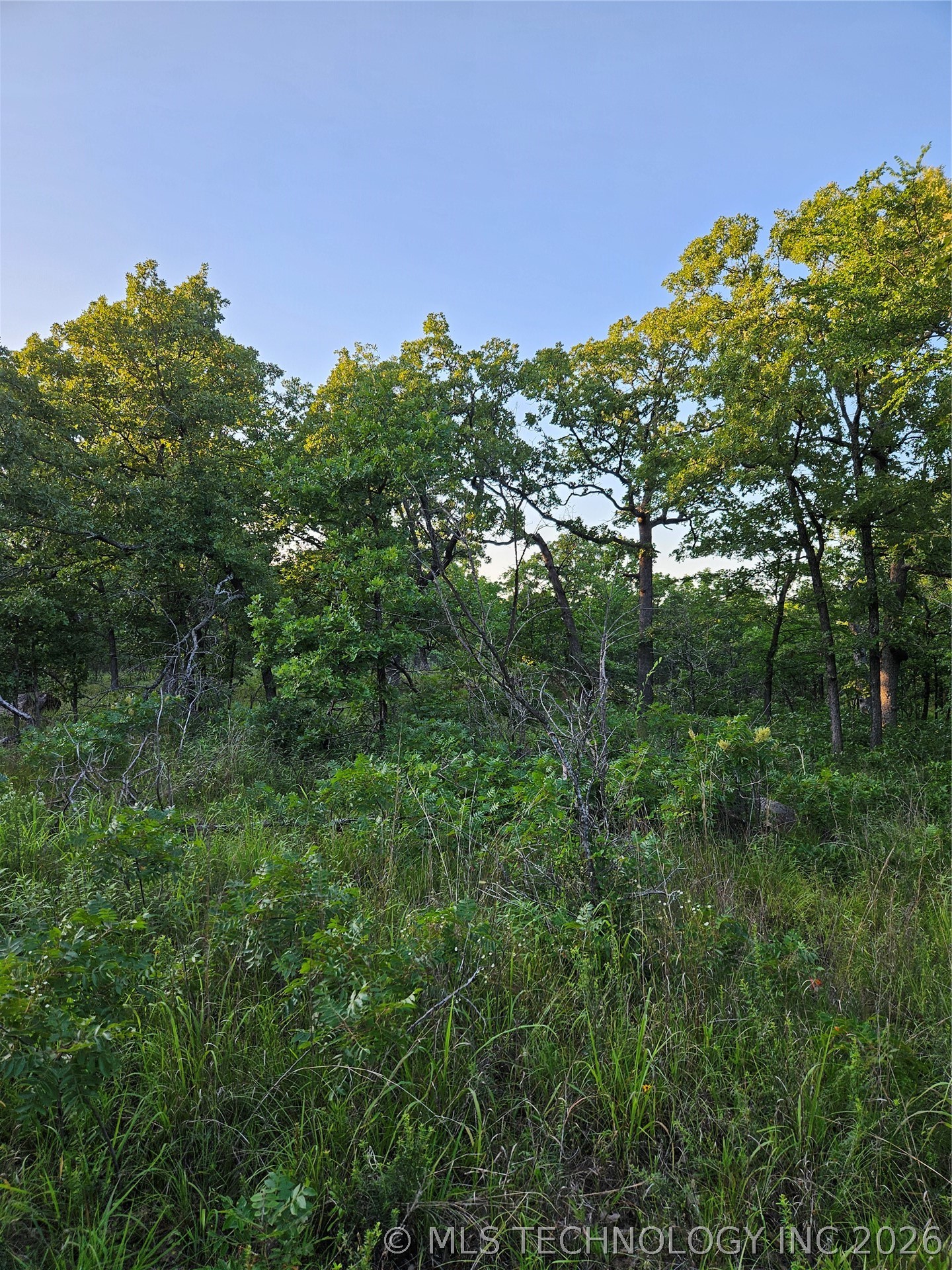 Hickory Lane Stuart OK 74570