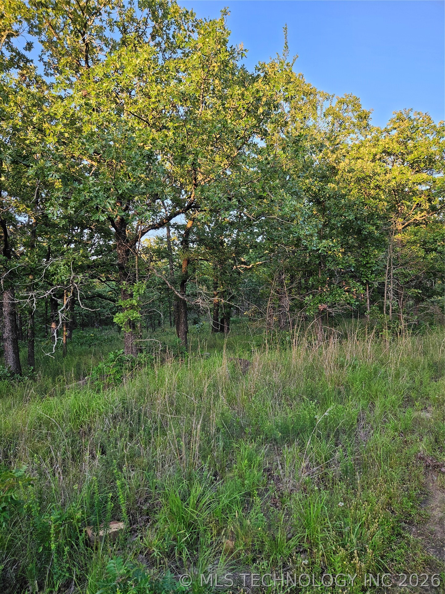 Hickory Lane Stuart OK 74570