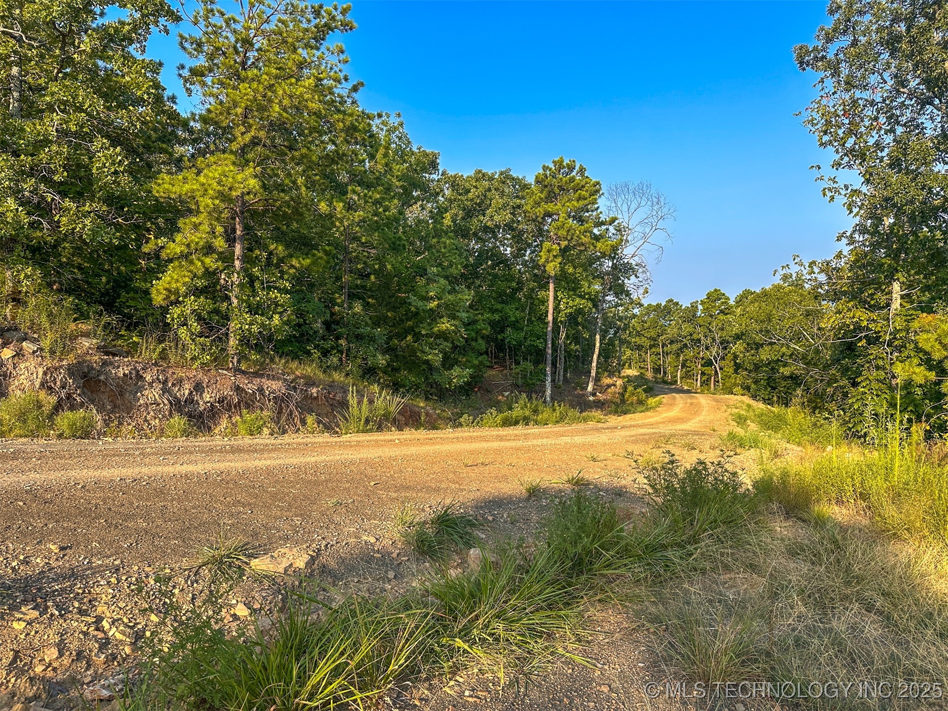 2 Moonshine Drive Clayton OK 74536