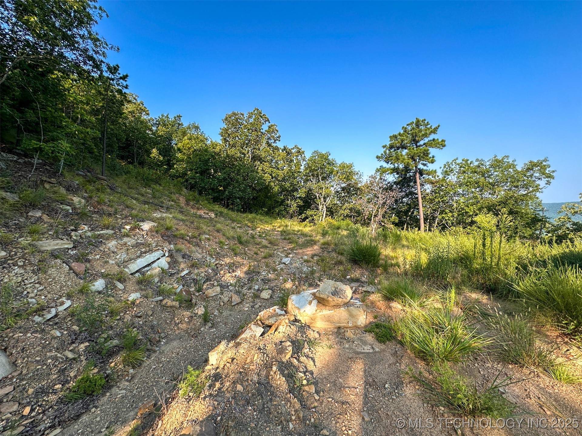 2 Moonshine Drive Clayton OK 74536