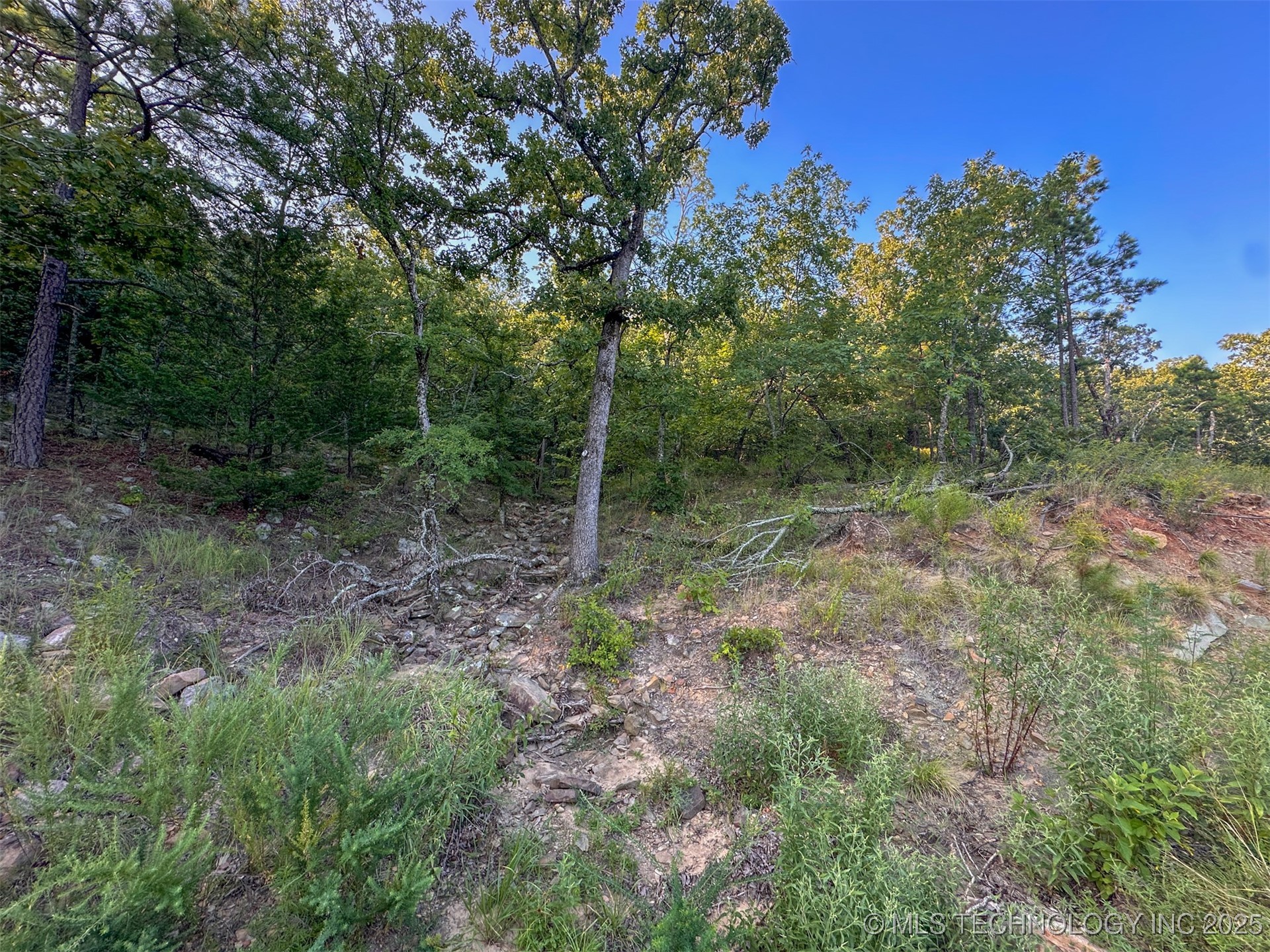 2 Moonshine Drive Clayton OK 74536