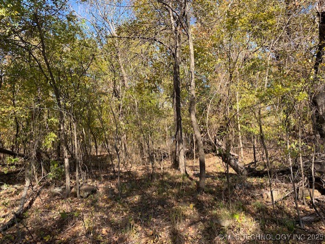 687 Road Locust Grove OK 74352