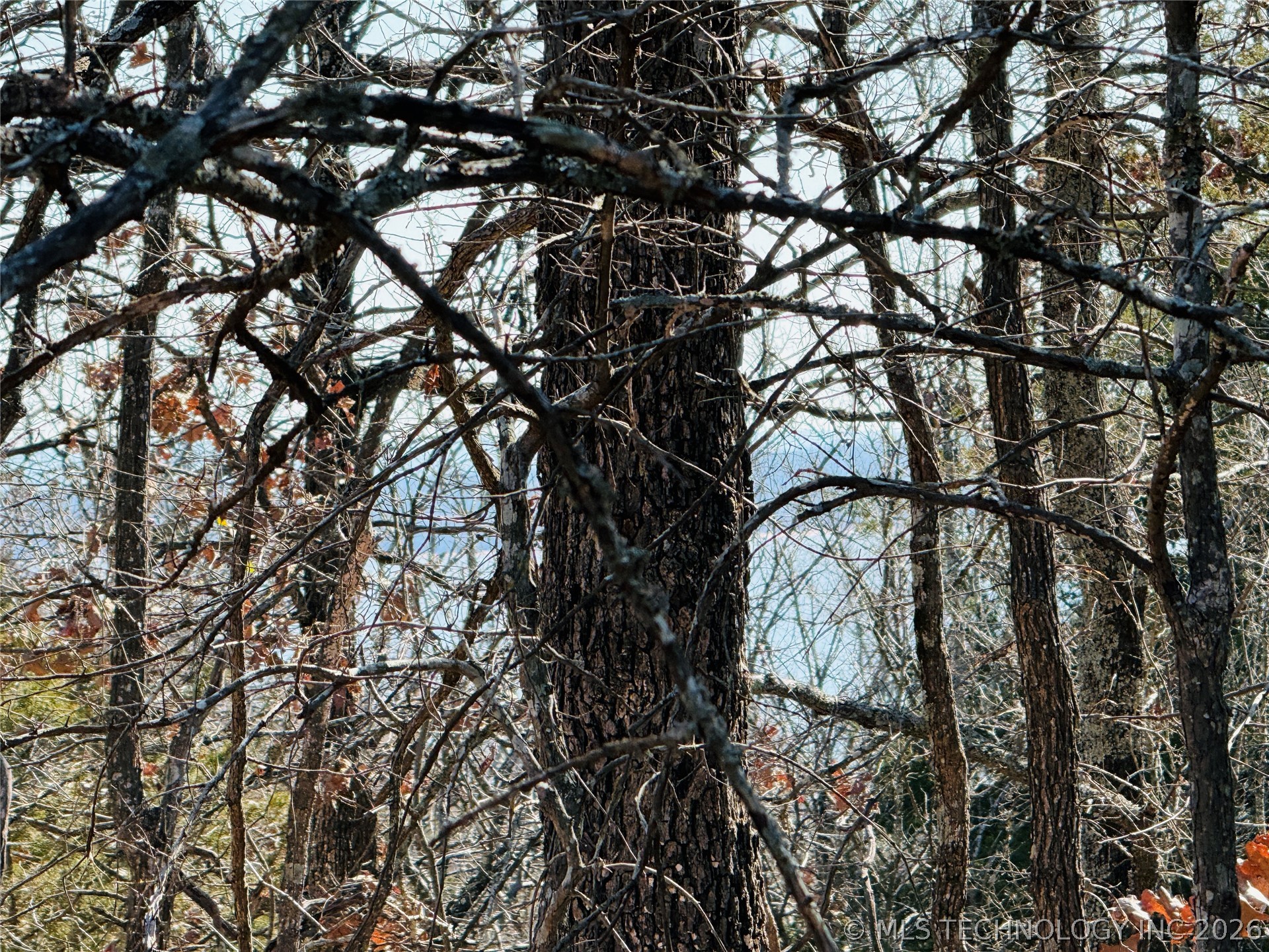 Mountain View Eufaula OK 74432