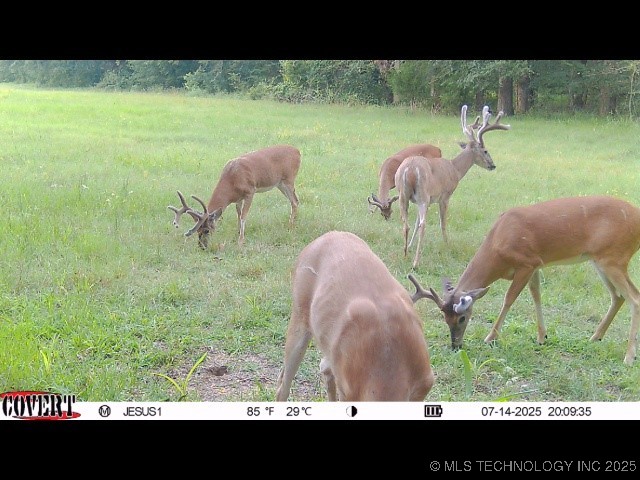 110009 N County Road 3740 Road Okemah OK 74859