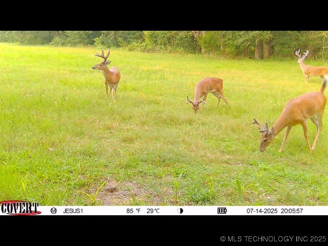 110009 N County Road 3740 Road Okemah OK 74859