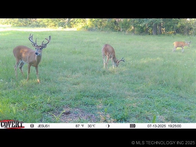 110009 N County Road 3740 Road Okemah OK 74859
