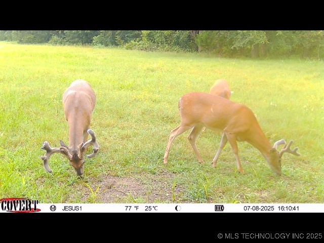 110009 N County Road 3740 Road Okemah OK 74859