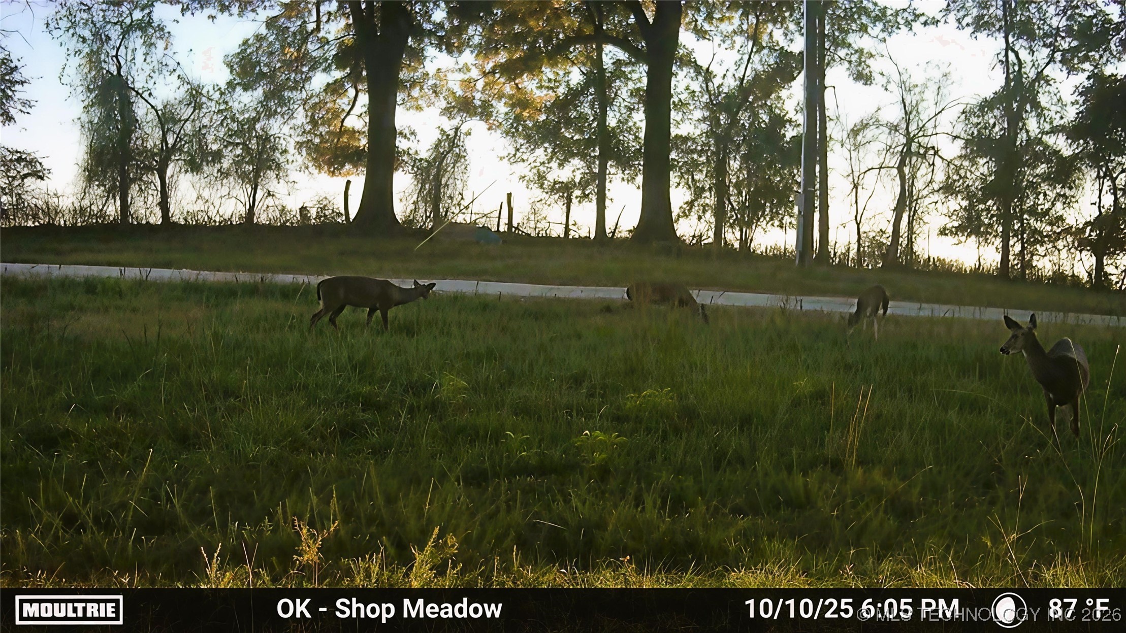 1552 Green Acres Road Idabel OK 74745