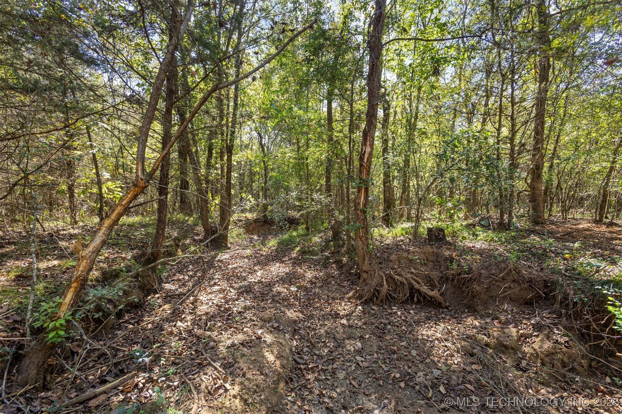 1552 Green Acres Road Idabel OK 74745