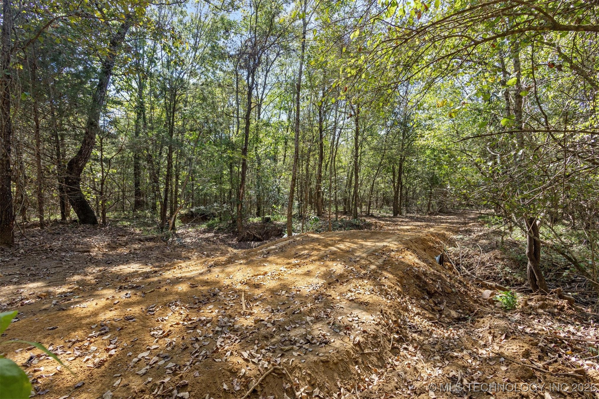1552 Green Acres Road Idabel OK 74745