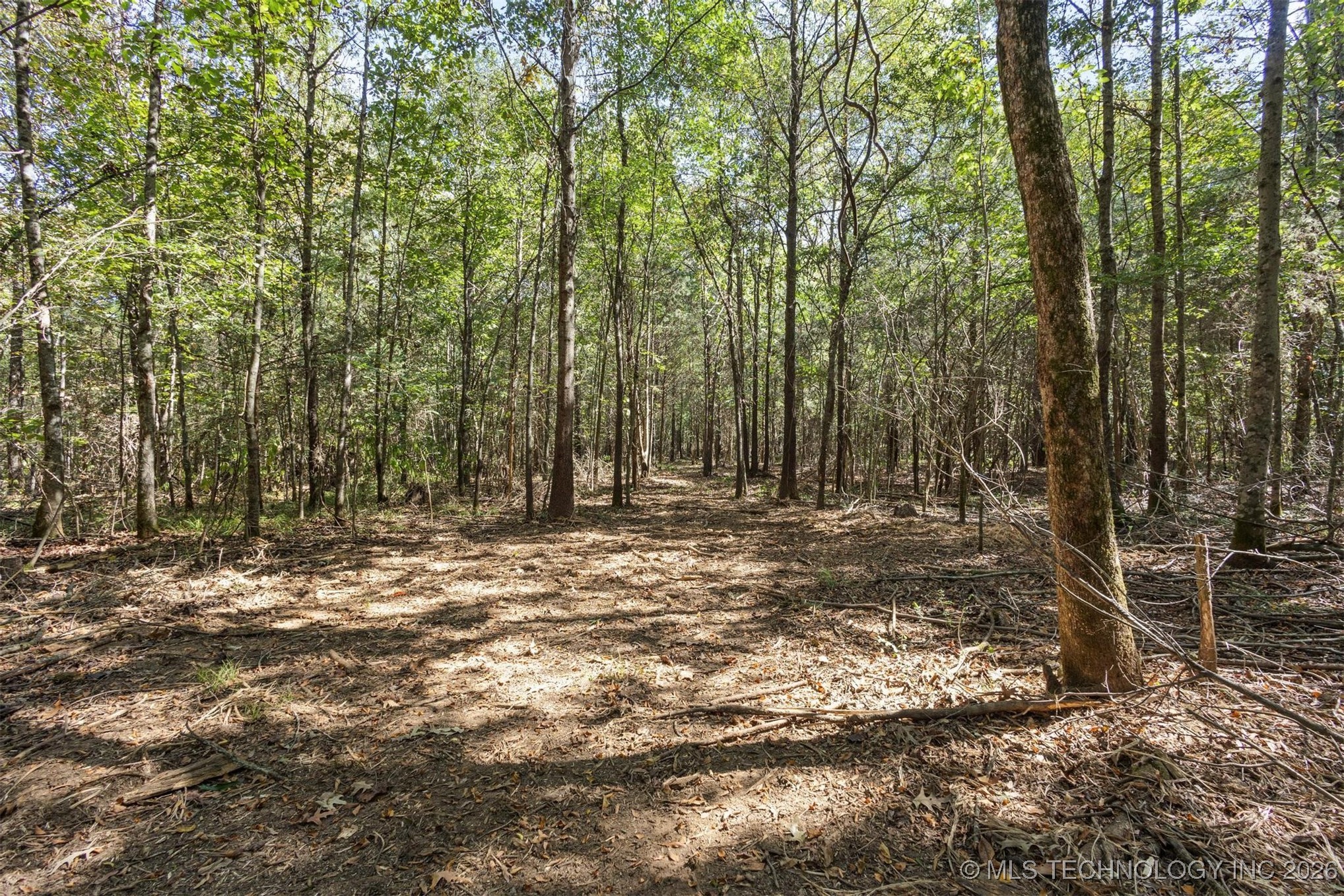 1552 Green Acres Road Idabel OK 74745
