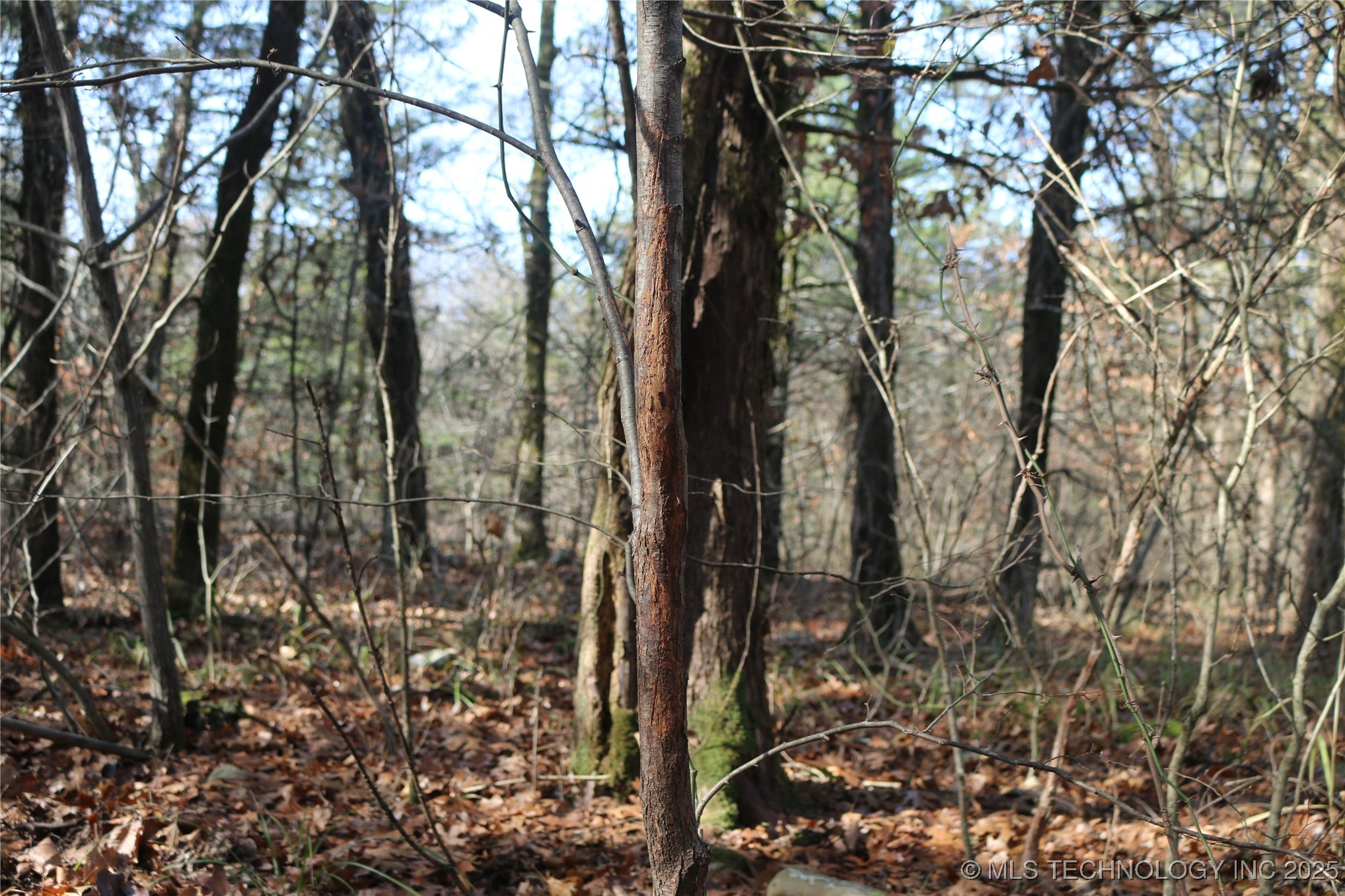 Poteau Mountain Monroe OK 74947