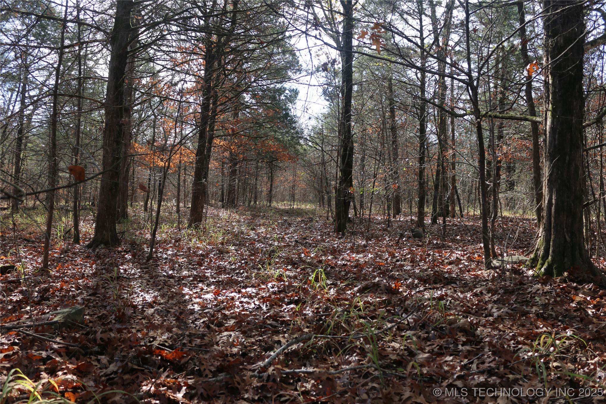 Poteau Mountain Monroe OK 74947