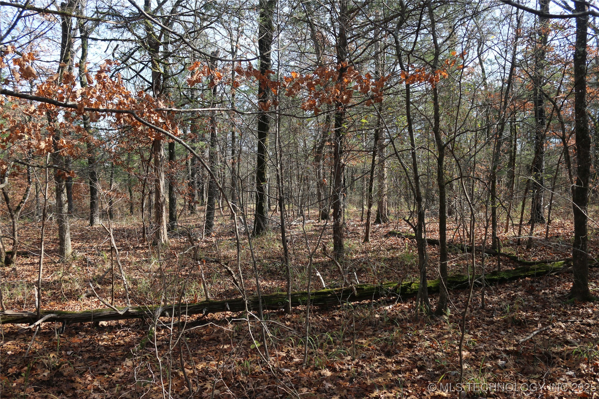 Poteau Mountain Monroe OK 74947