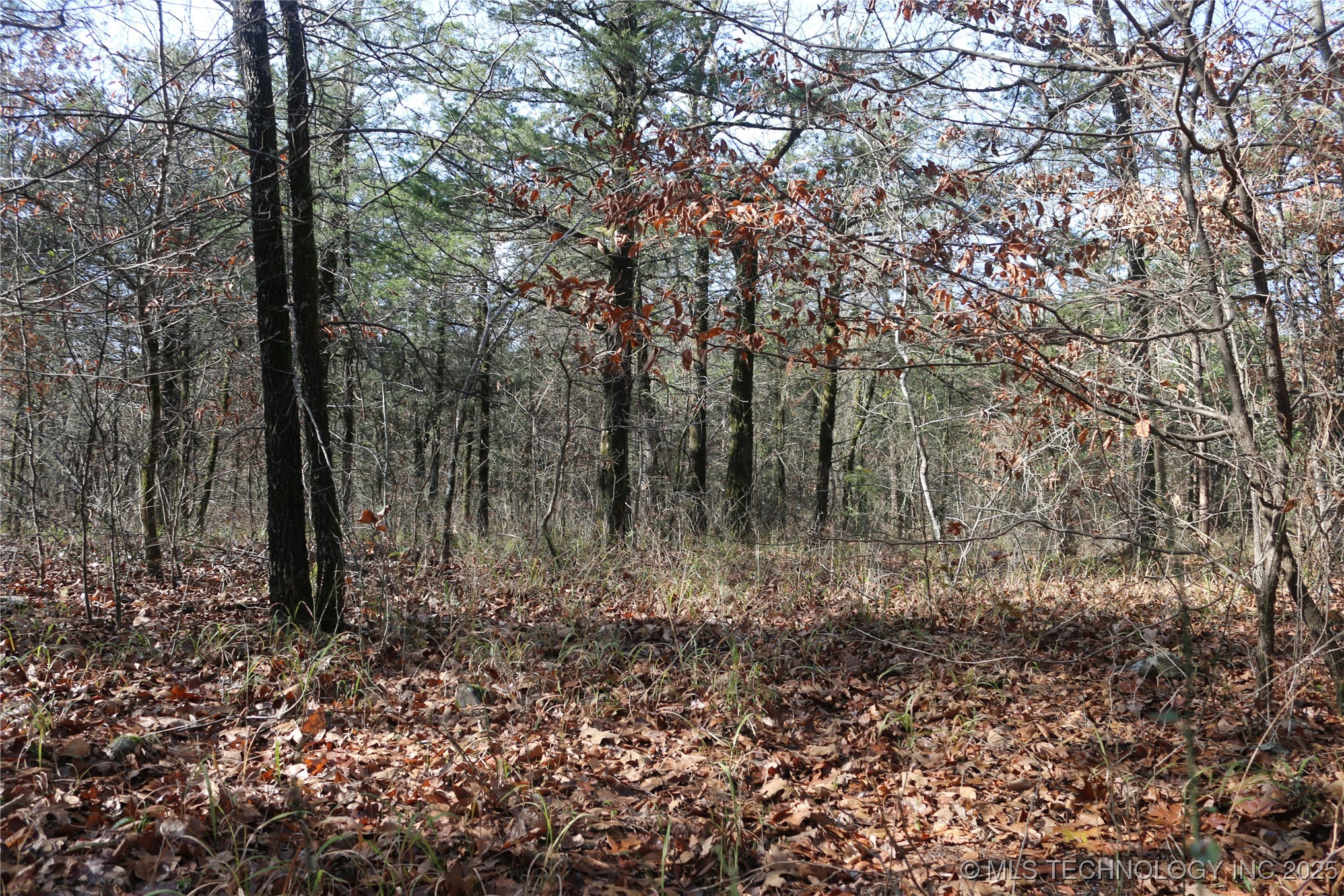 Poteau Mountain Monroe OK 74947