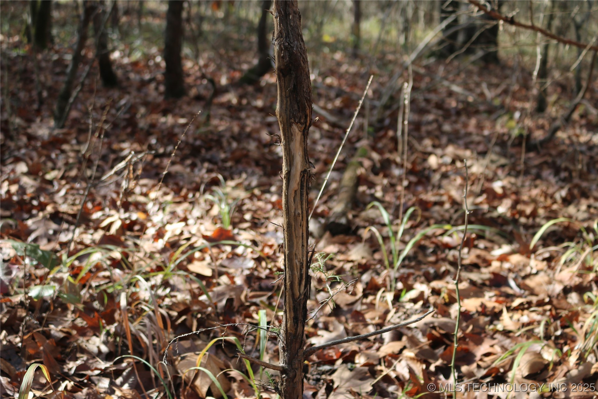 Poteau Mountain Monroe OK 74947