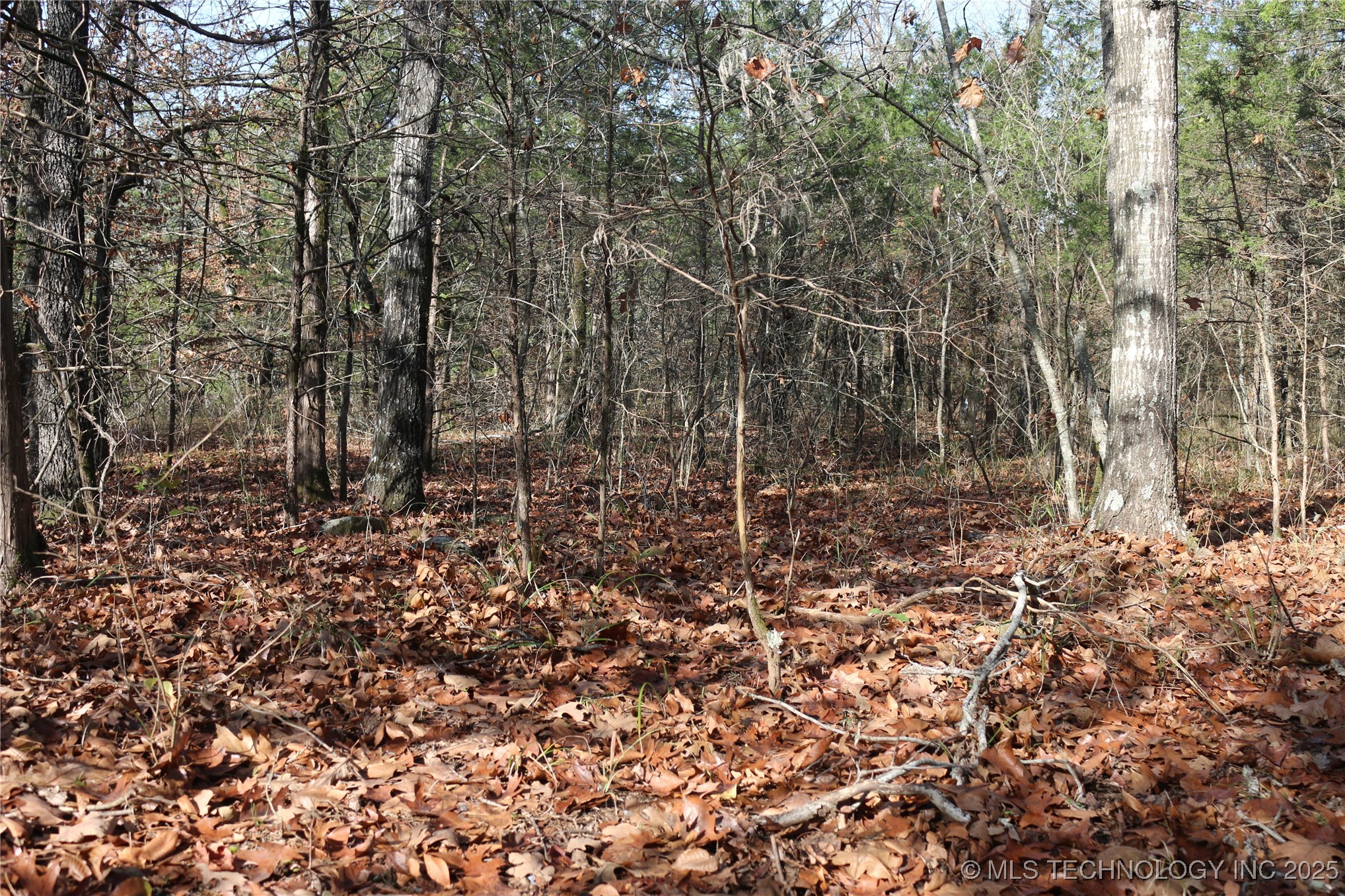 Poteau Mountain Monroe OK 74947