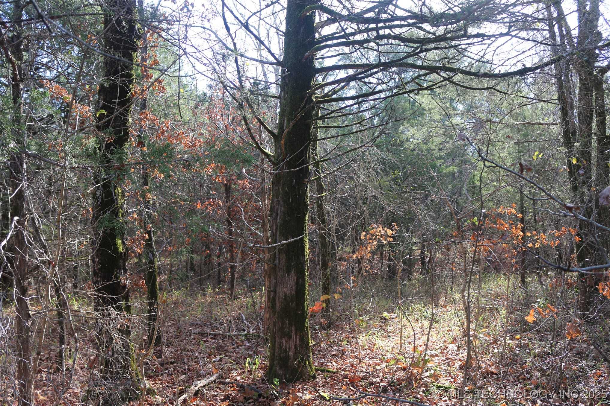 Poteau Mountain Monroe OK 74947