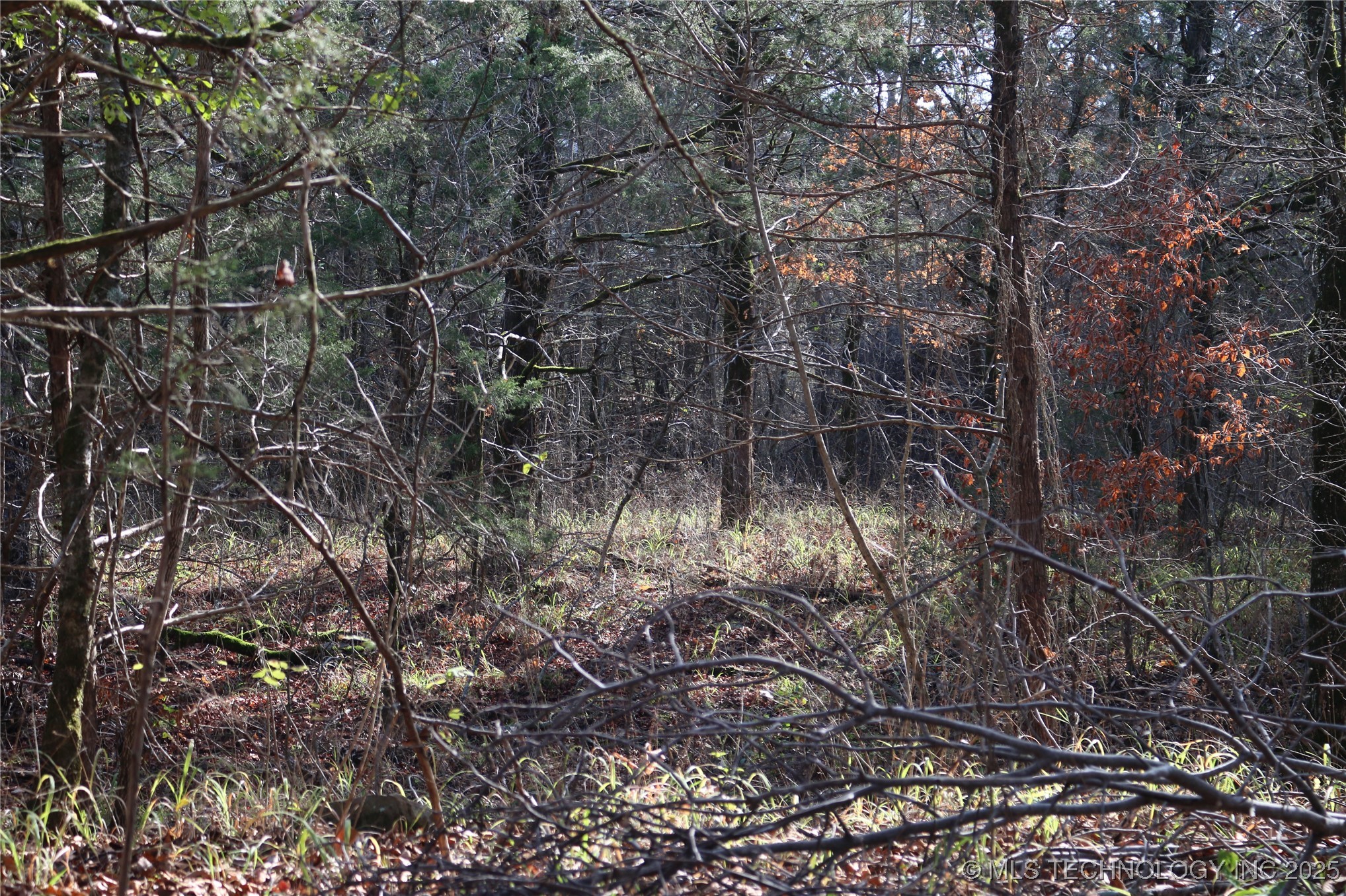 Poteau Mountain Monroe OK 74947