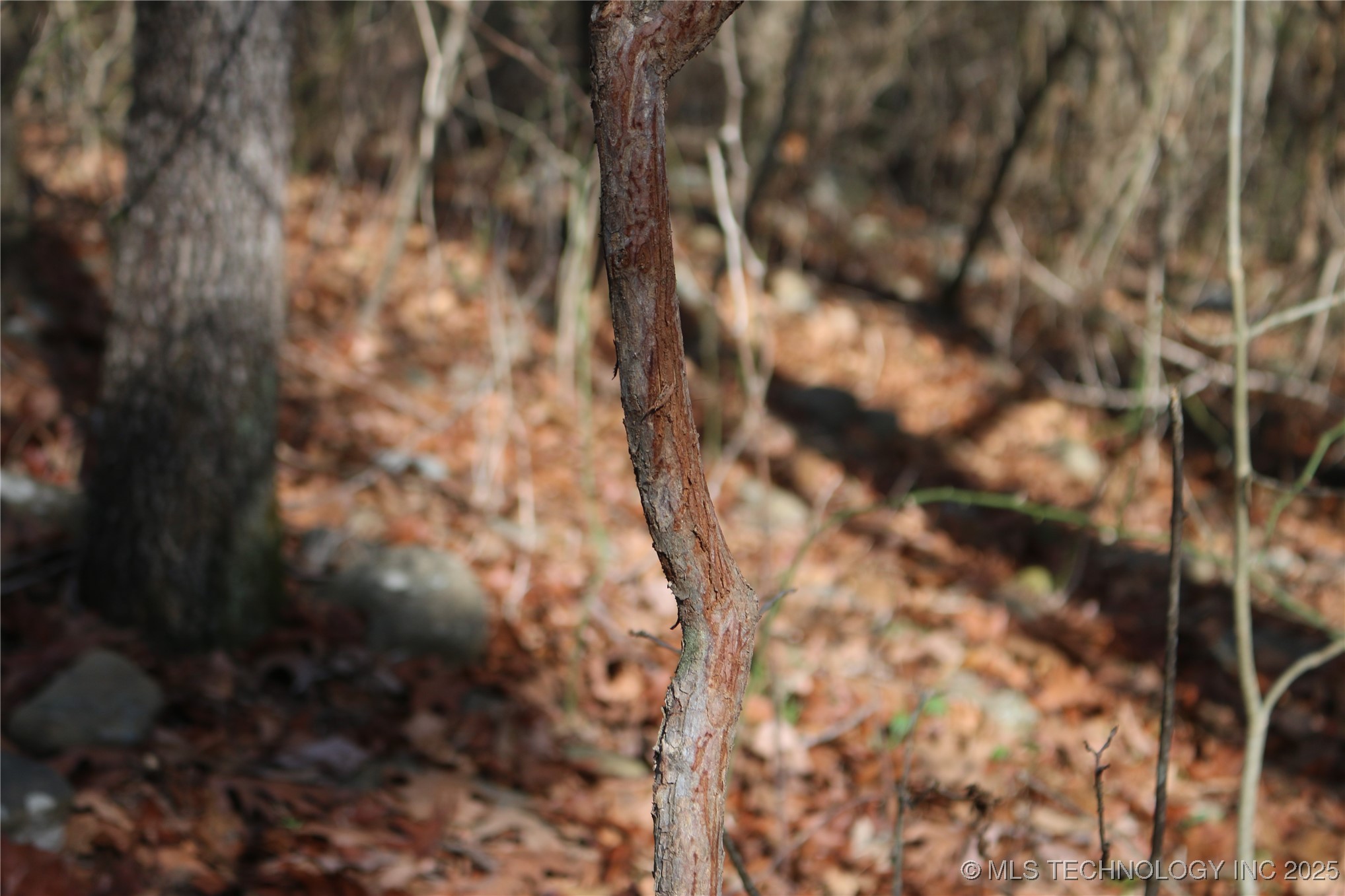 Poteau Mountain Monroe OK 74947