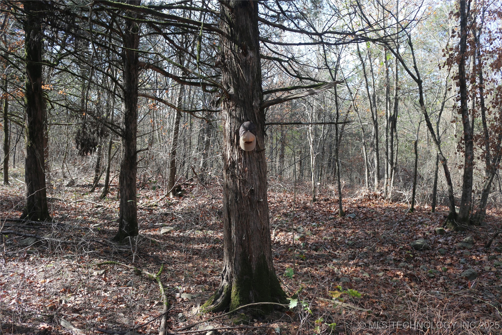 Poteau Mountain Monroe OK 74947