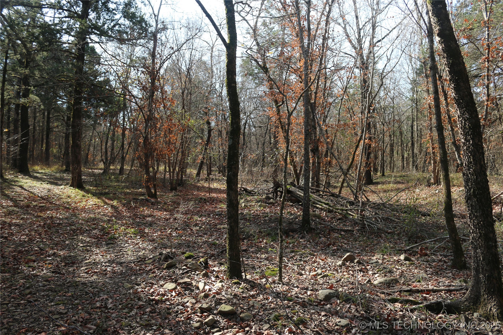 Poteau Mountain Monroe OK 74947