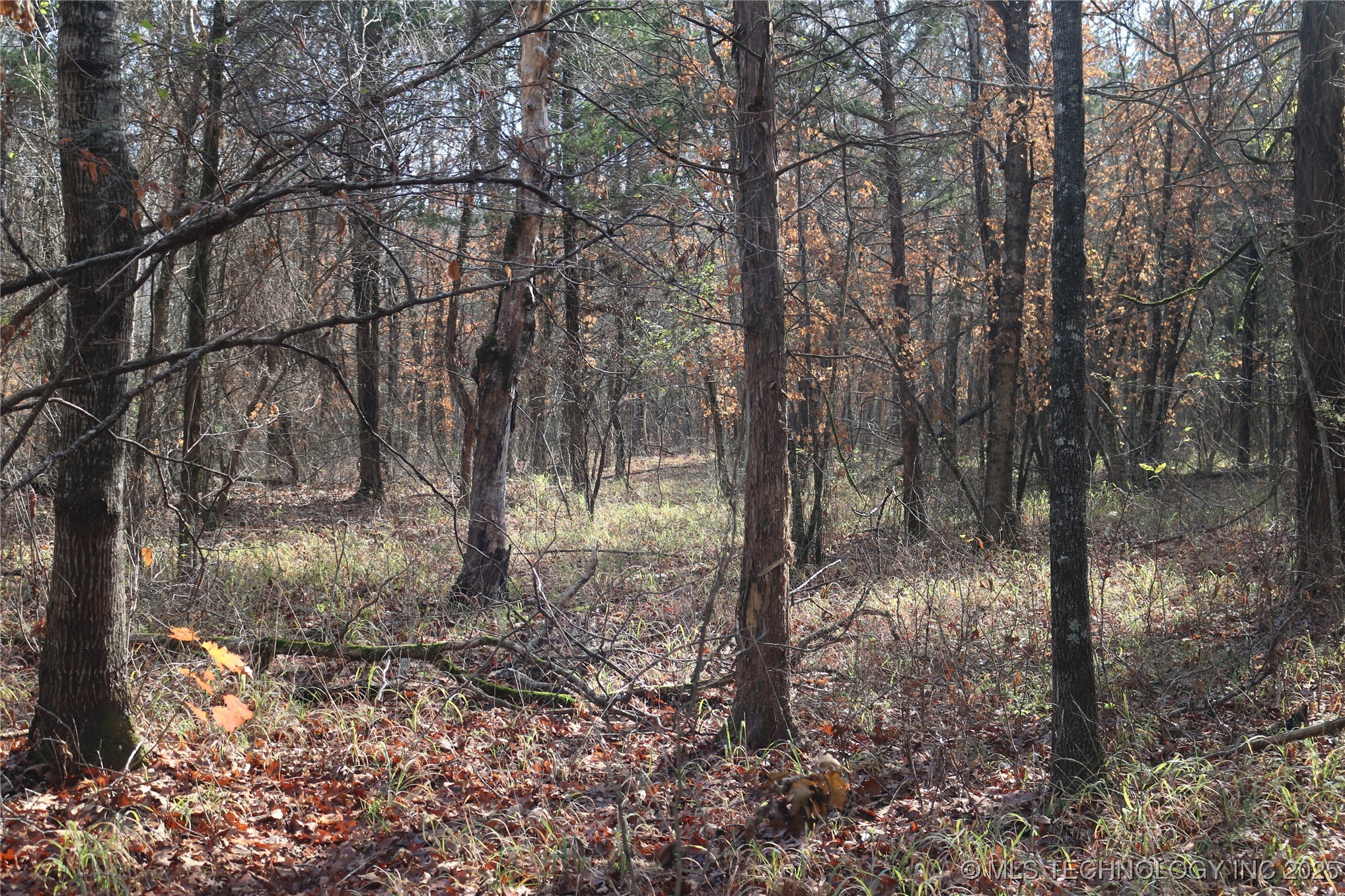 Poteau Mountain Monroe OK 74947