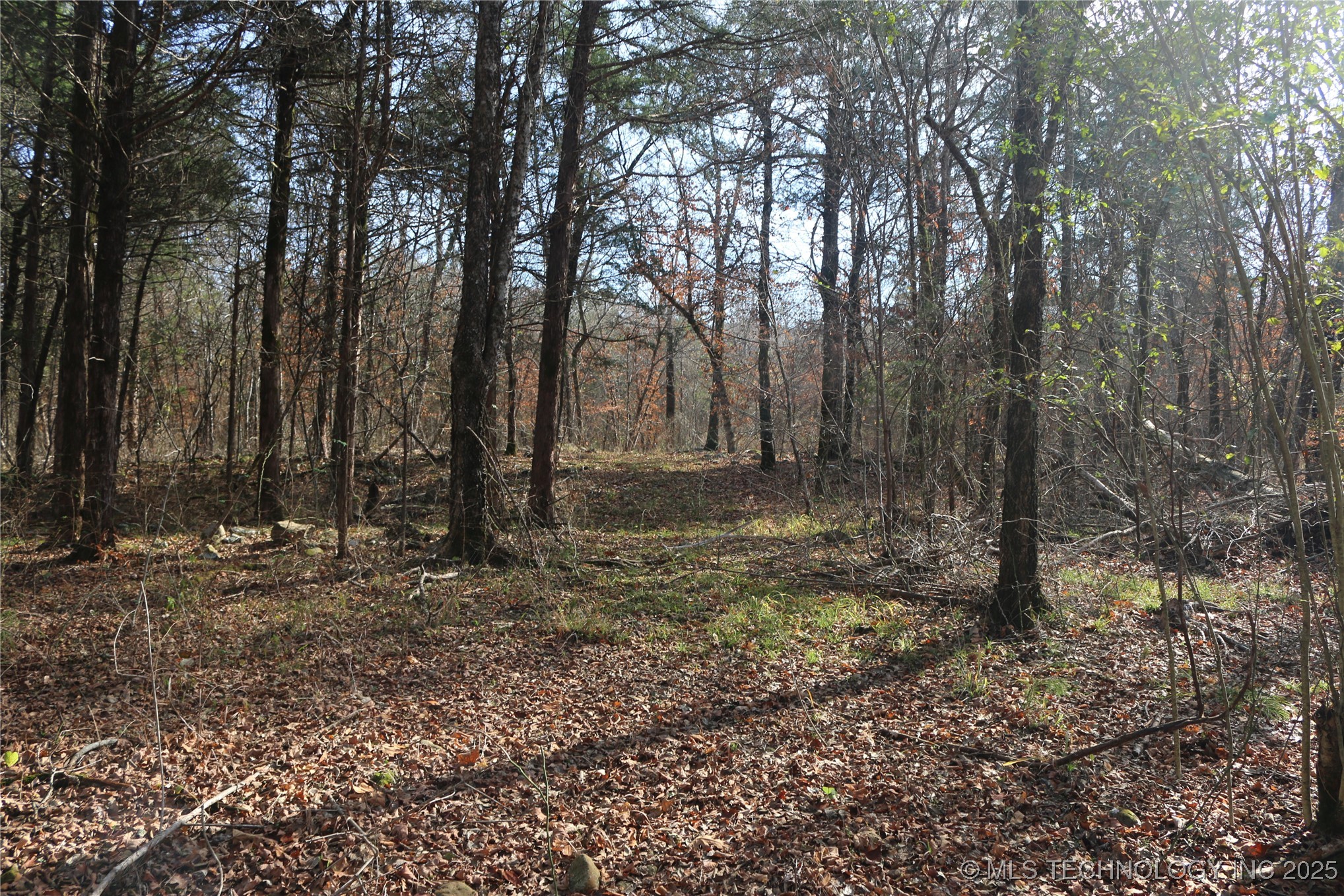 Poteau Mountain Monroe OK 74947
