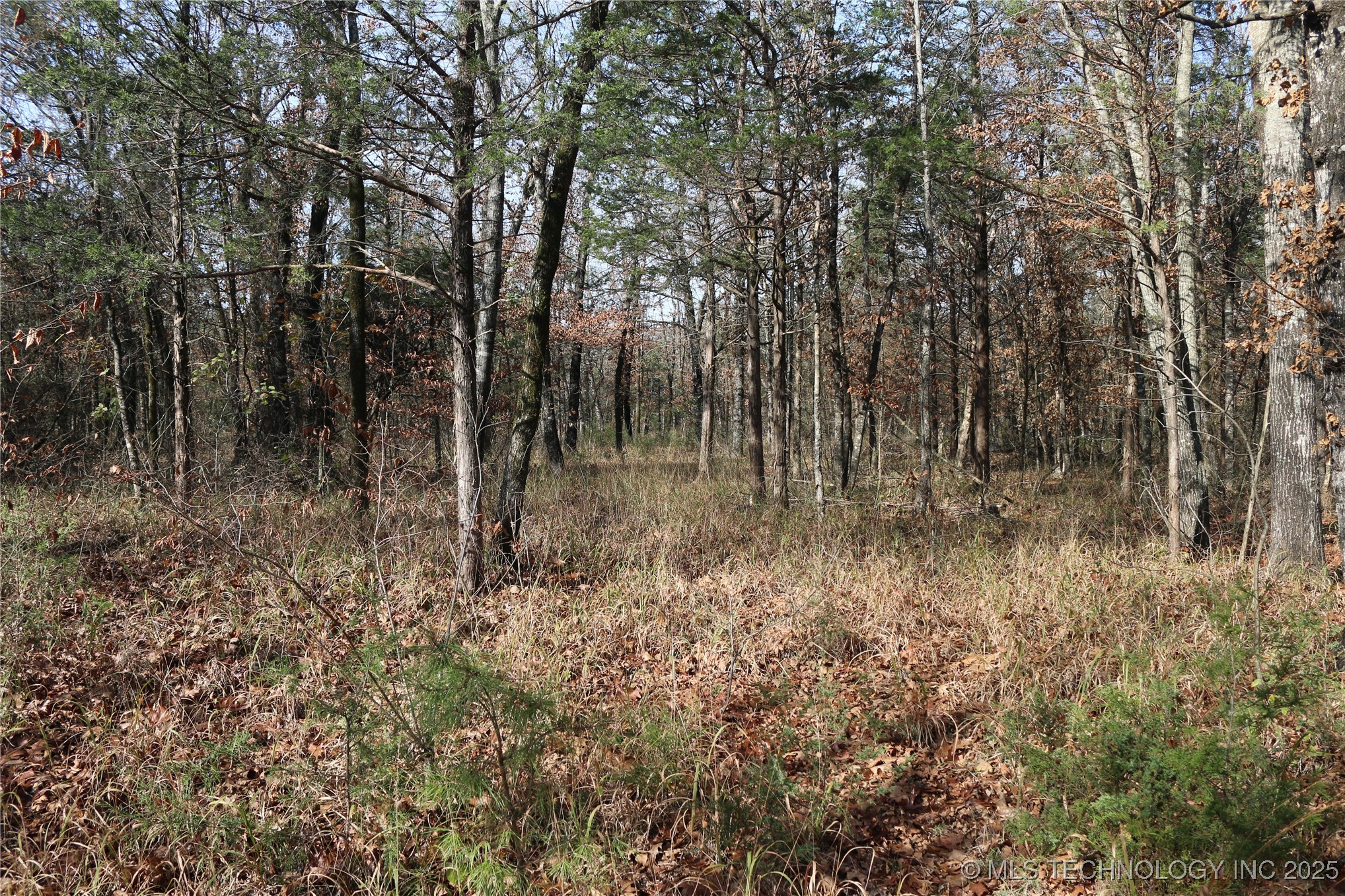 Poteau Mountain Monroe OK 74947