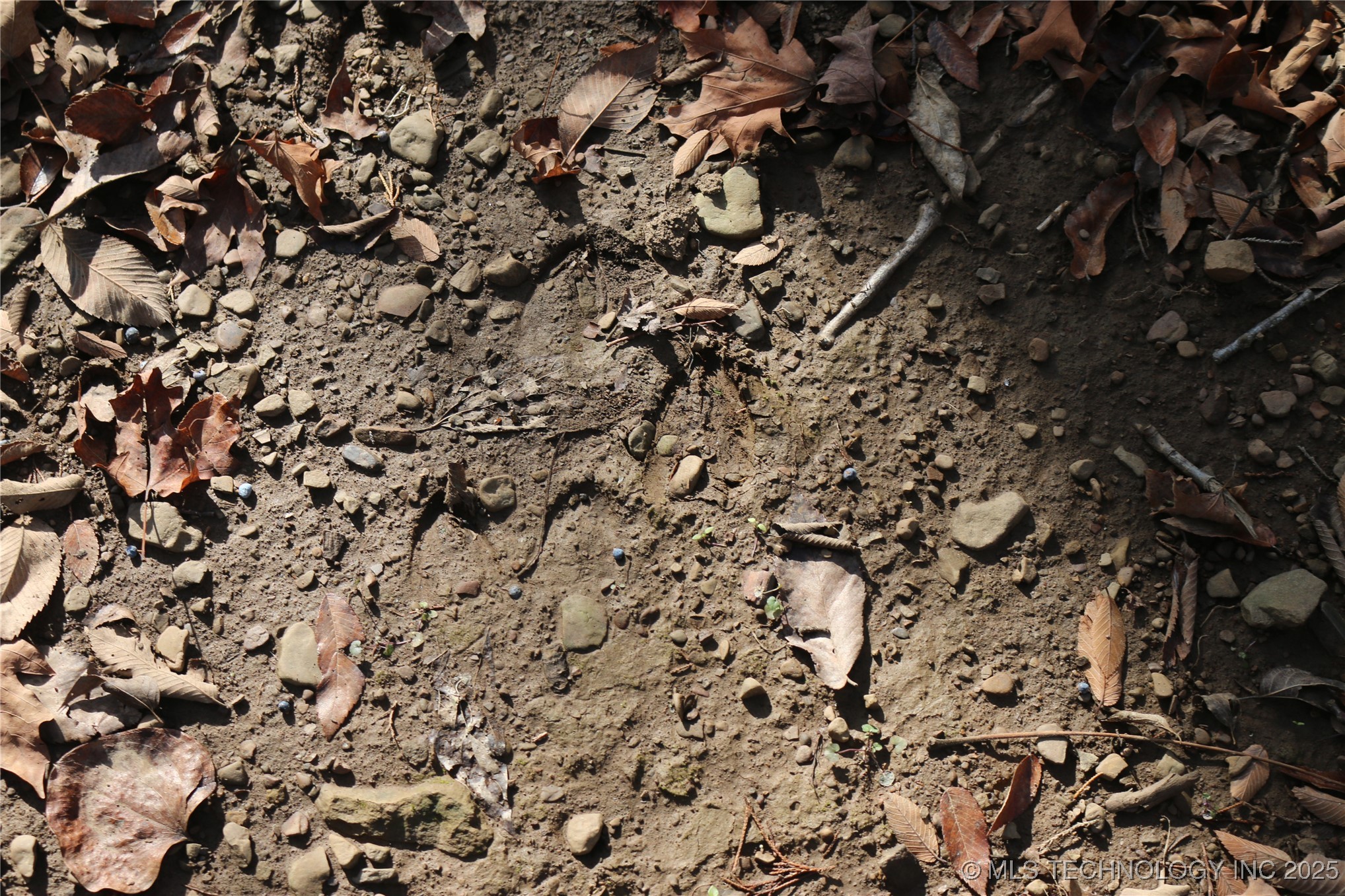 Poteau Mountain Monroe OK 74947