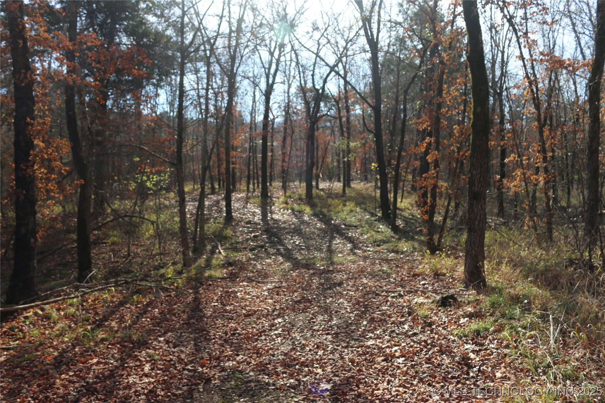 Poteau Mountain Monroe OK 74947