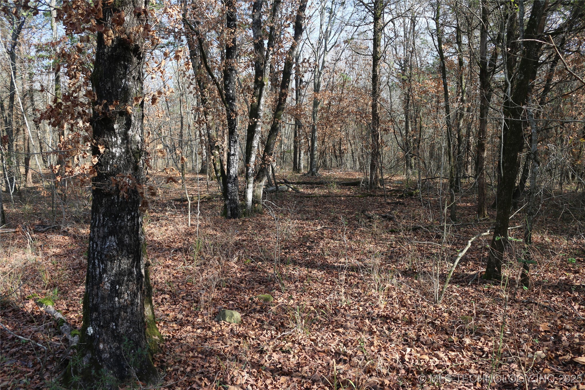 Poteau Mountain Monroe OK 74947