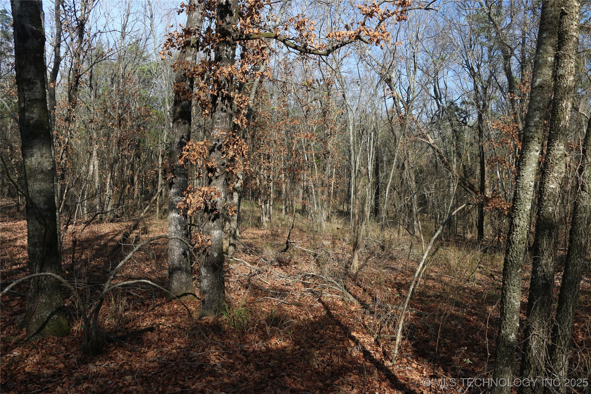 Poteau Mountain Monroe OK 74947
