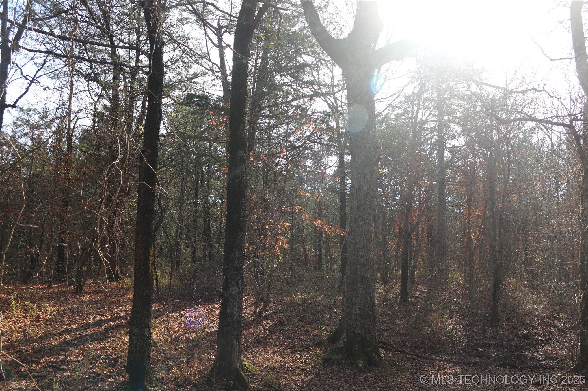 Poteau Mountain Monroe OK 74947