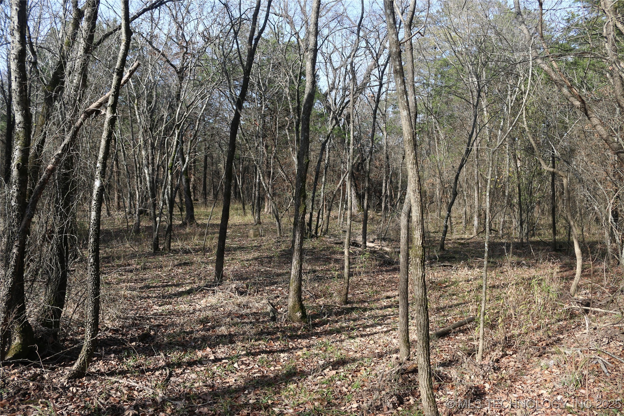 Poteau Mountain Monroe OK 74947