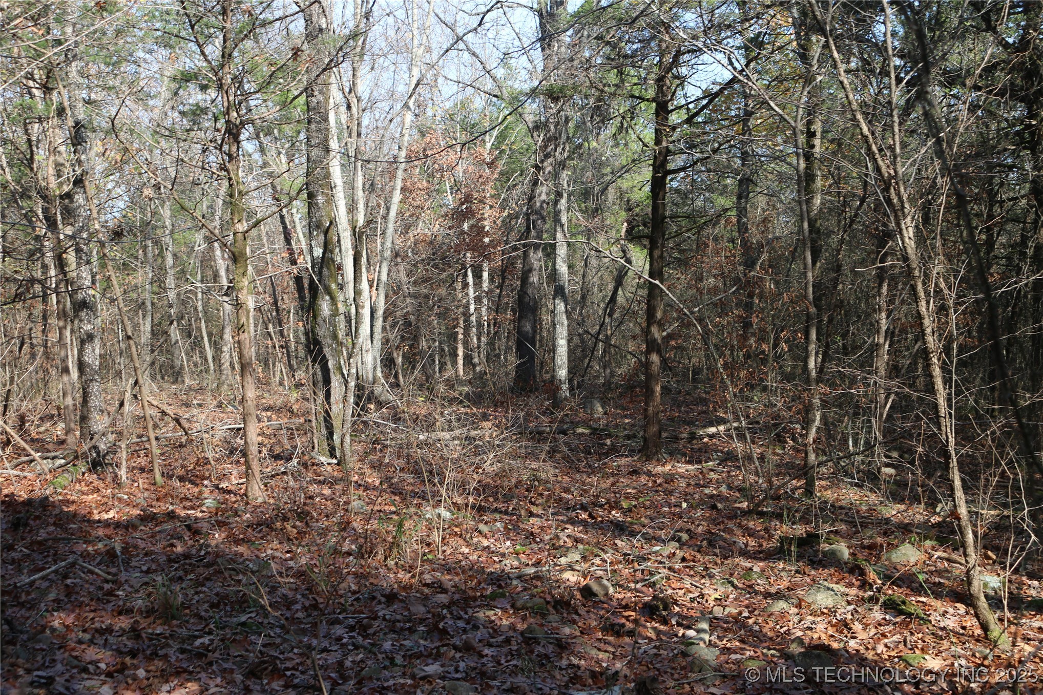 Poteau Mountain Monroe OK 74947