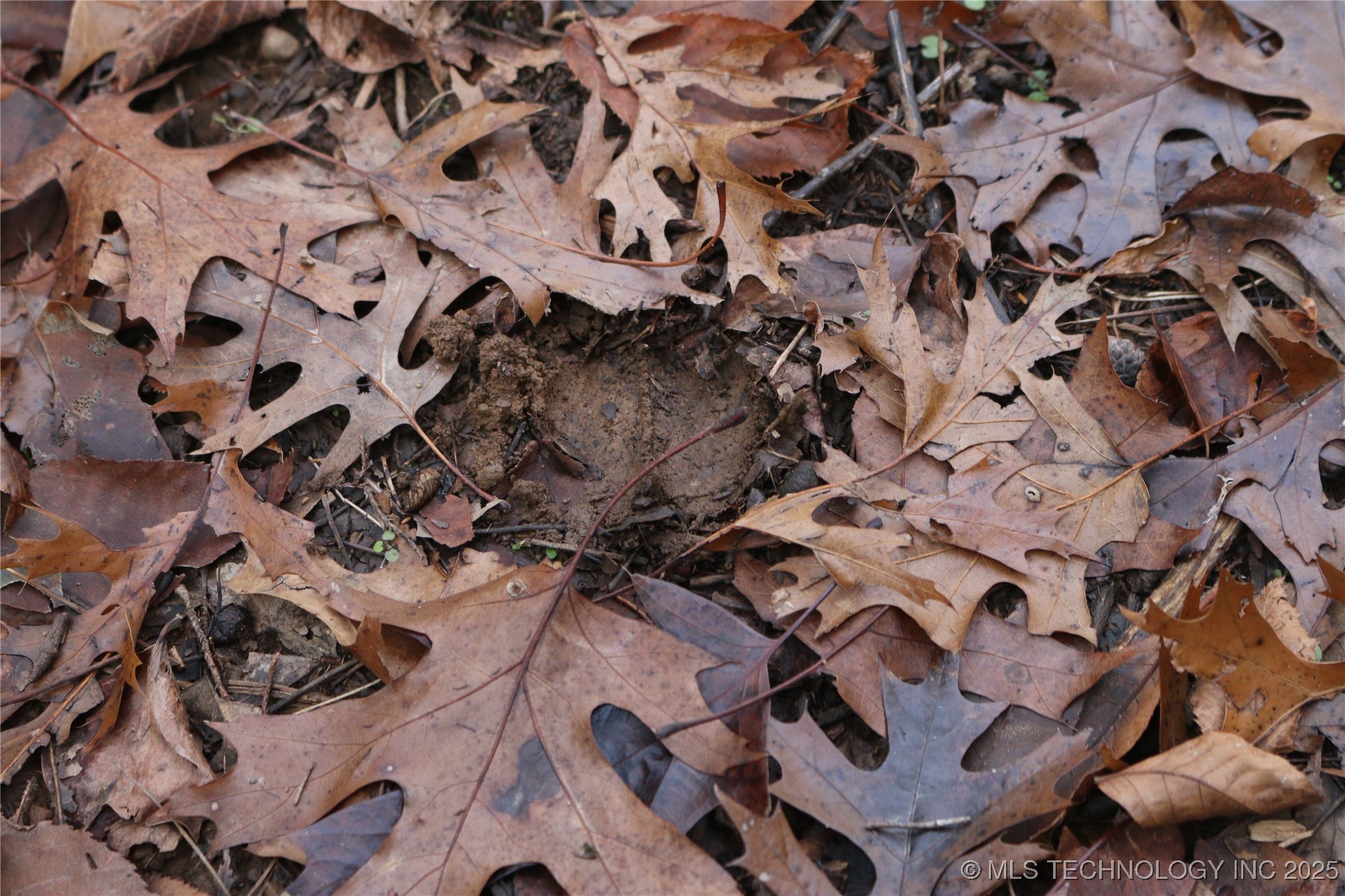 Poteau Mountain Monroe OK 74947
