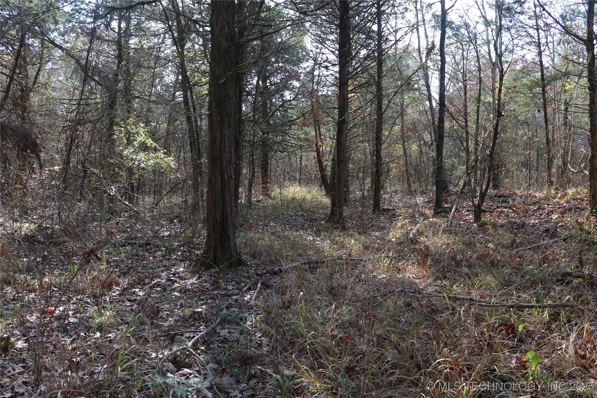 Poteau Mountain Monroe OK 74947