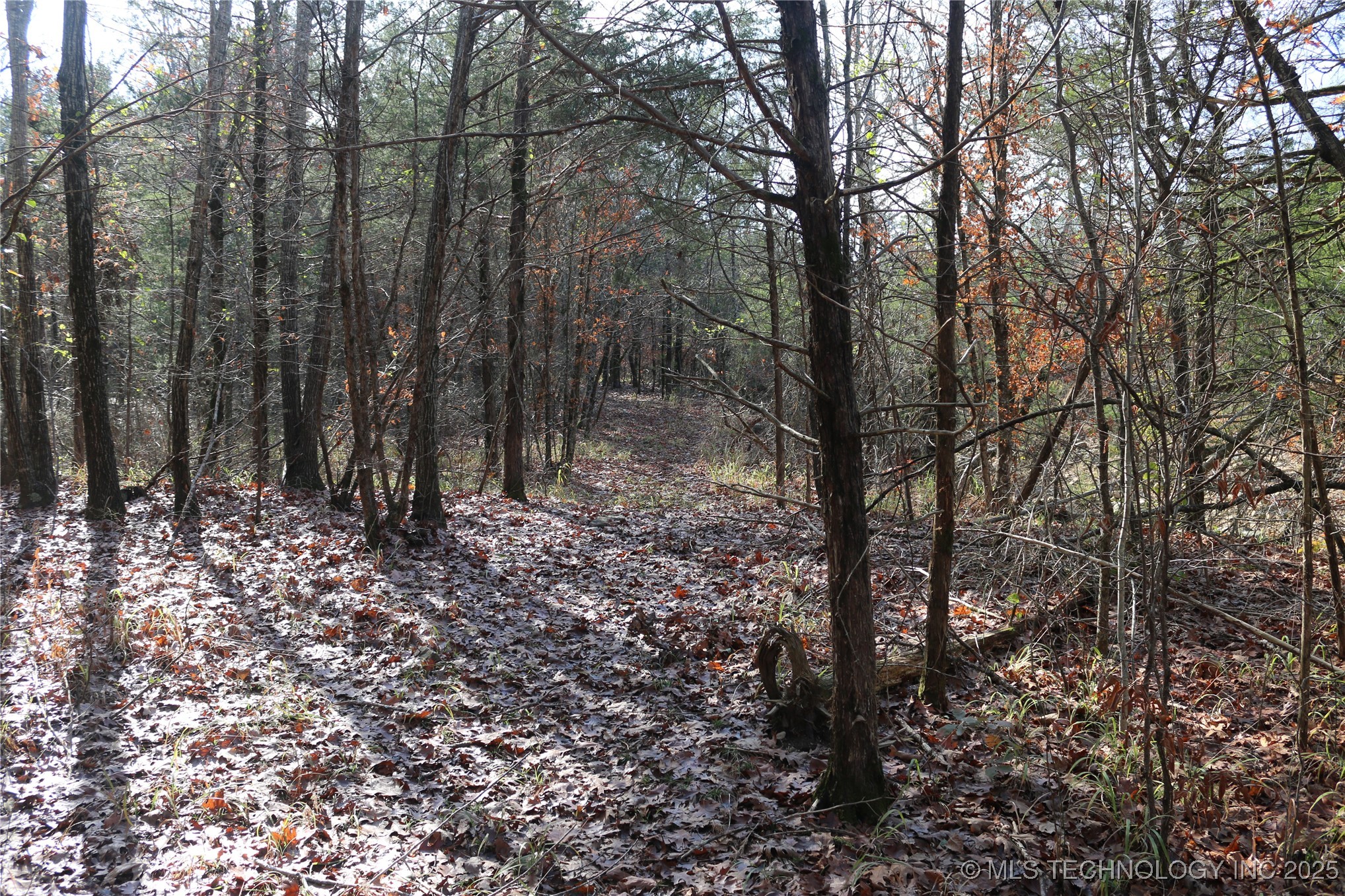 Poteau Mountain Monroe OK 74947
